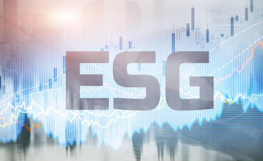 L’Europa adotta i nuovi Standard di Rendicontazione della Sostenibilità (ESRS) per la redazione dei Report ESG.